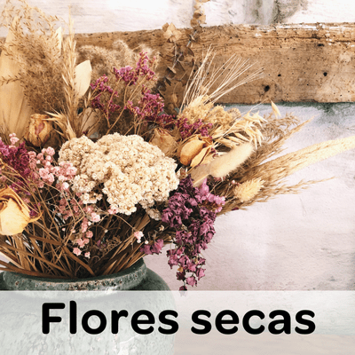 Regalo de flores secas