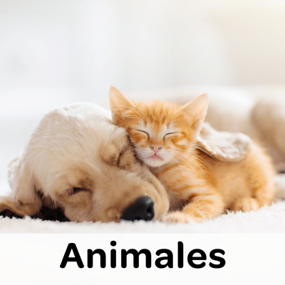 Regalo personalizado de animales